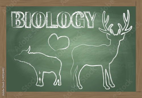 Biology blackboard vector background