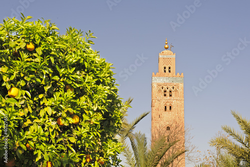 Orange trees with the mosque of Koutoubia