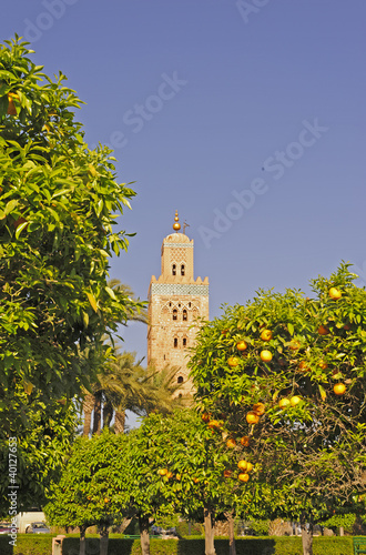 Orange trees with the mosque of Koutoubia