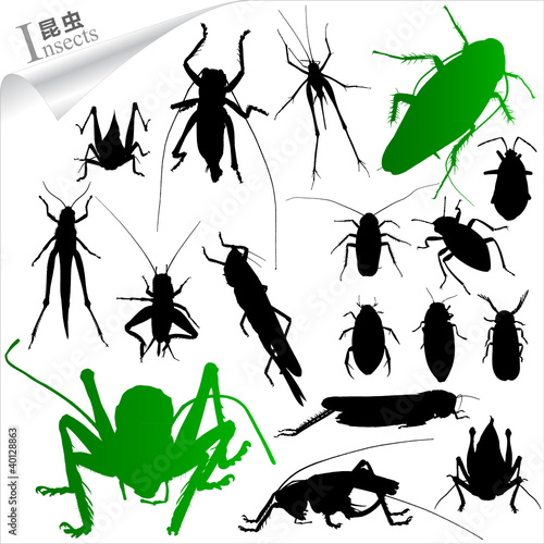 Silhouettes of insects