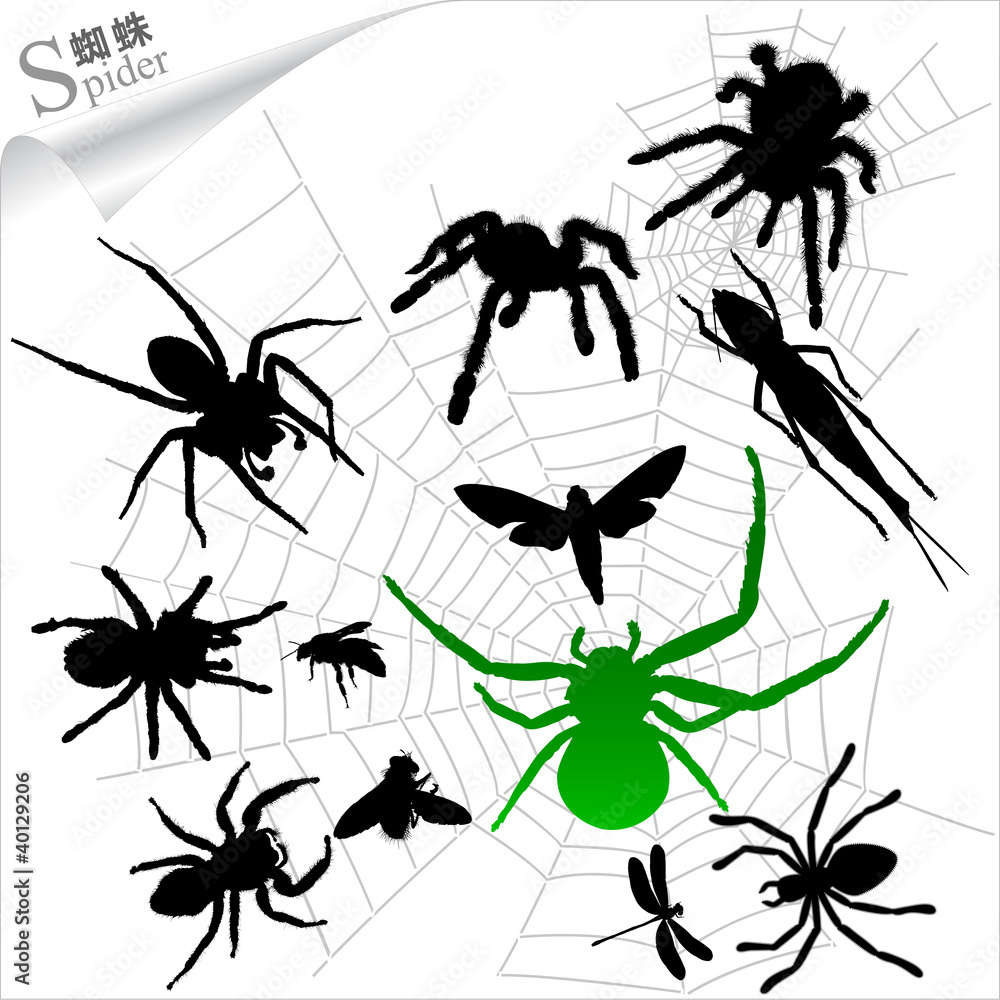 Silhouettes of insects - Spiders Silhouettes of insects - Spiders