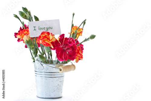 Fototapeta Naklejka Na Ścianę i Meble -  bouquet of red carnations