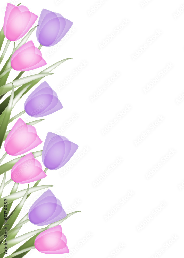 Spring background with border of pink and purple tulips Spring background with border of pink and purple tulips