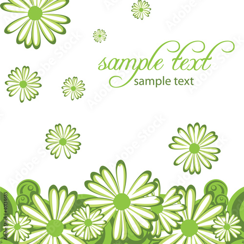 abstract background with flowers camomile