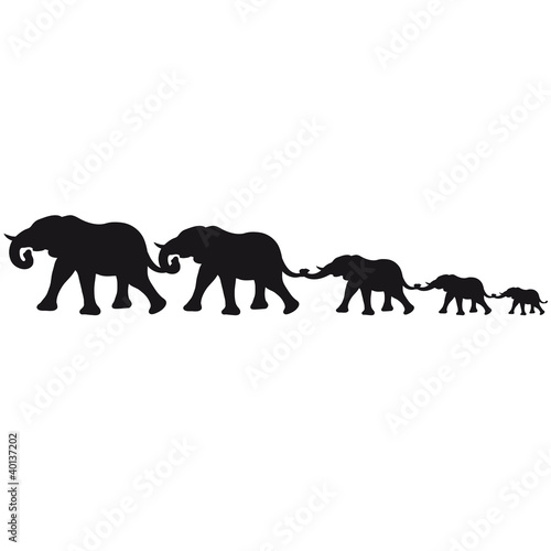 big_elephant_family