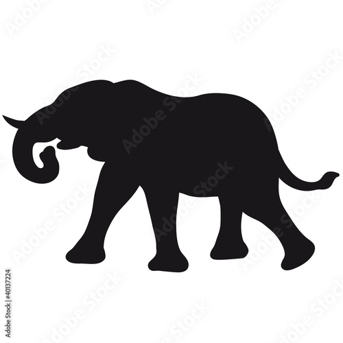 elephant_shadow