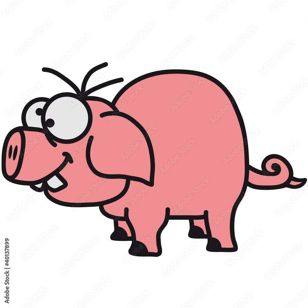 pig pig