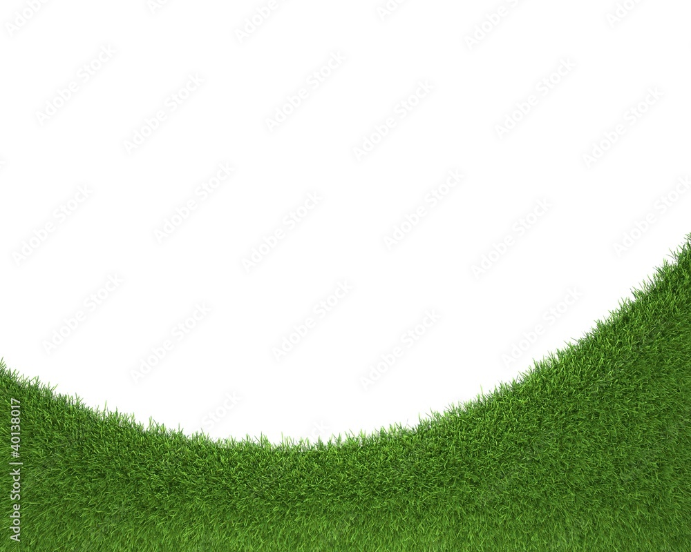 Obraz premium green grass frame, isolated on white background