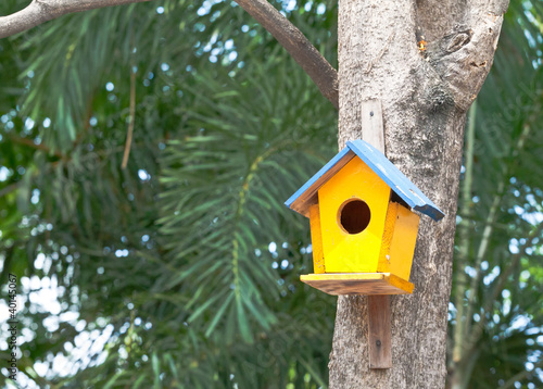 yellow birdhouse on a tree