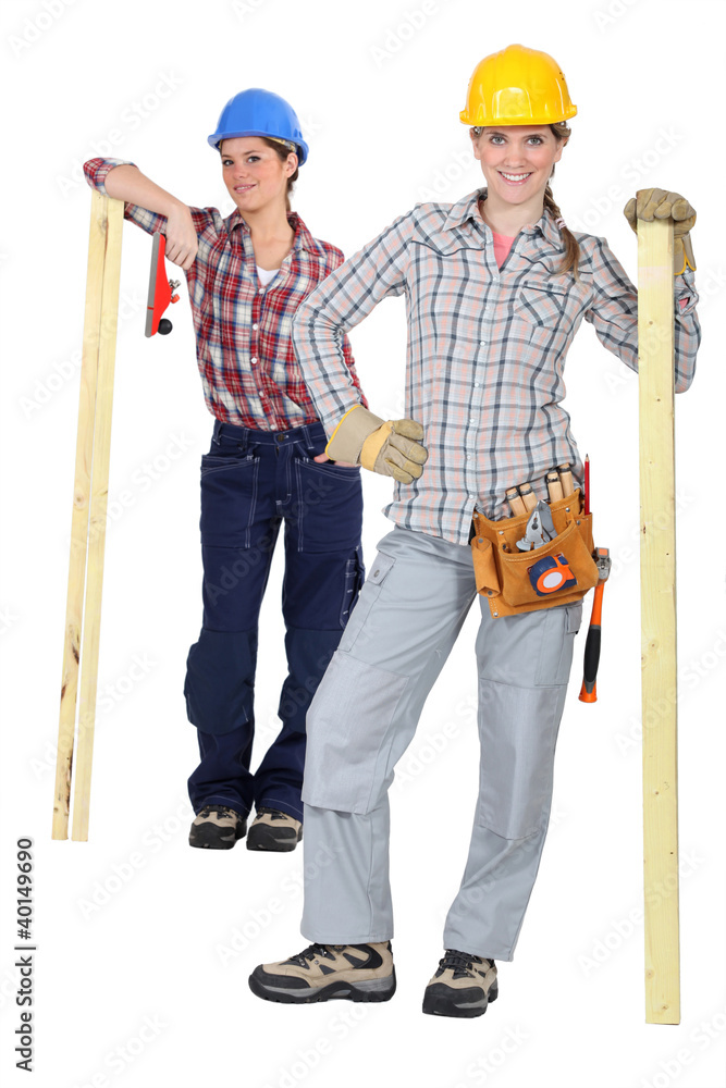 Handywomen on white background Handywomen on white background