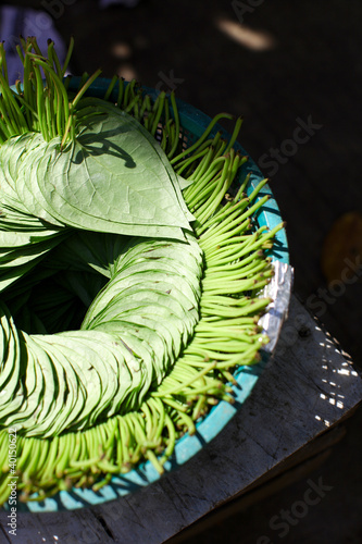 Betel leaves for chewing arranged in the market in India photo