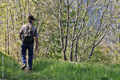 Montanaro nel bosco