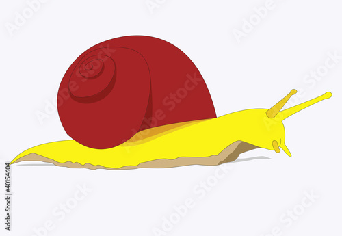 Schnecke