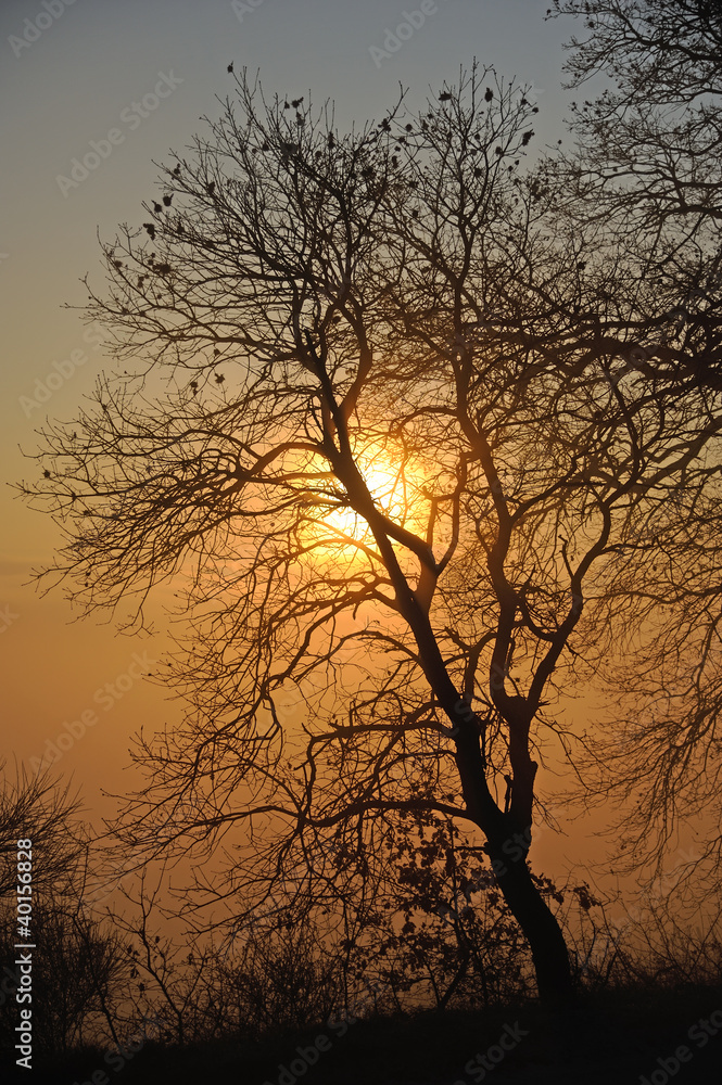 Sunrise in backlight Sunrise in backlight