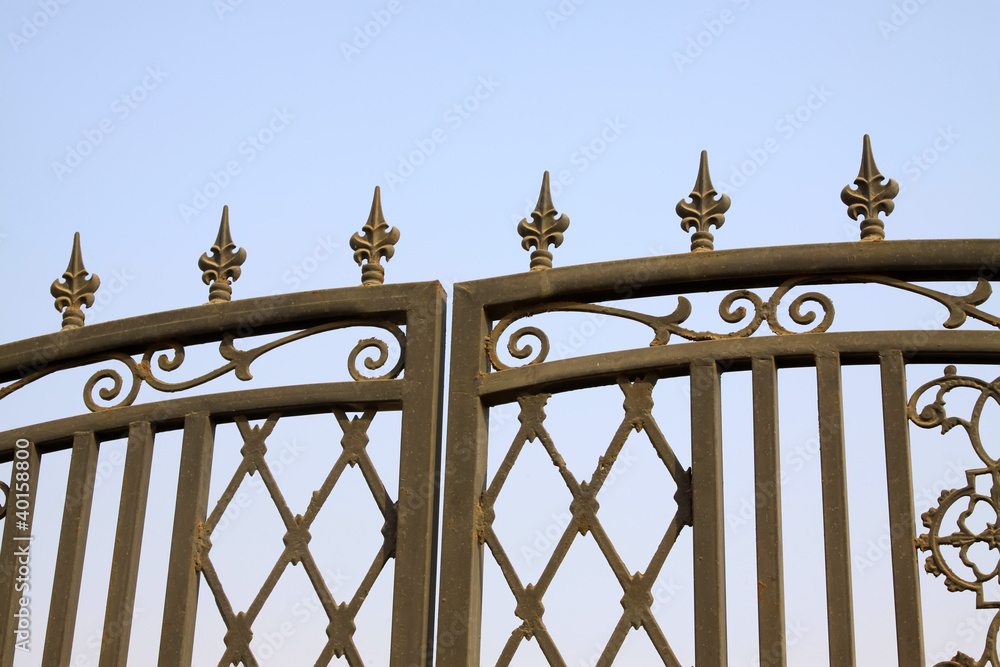 Naklejka premium wrought iron gate decoration