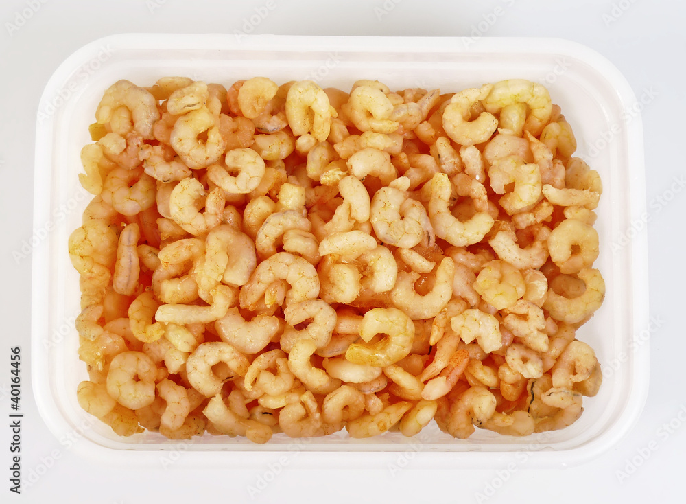 shrimp shrimp