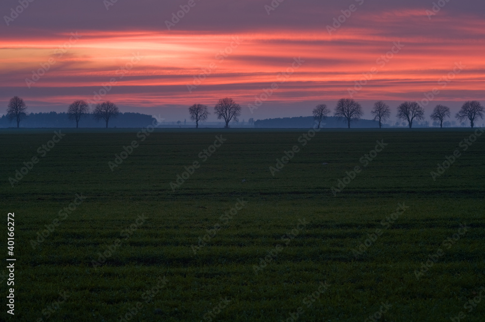 Fototapeta premium Autumn sunset