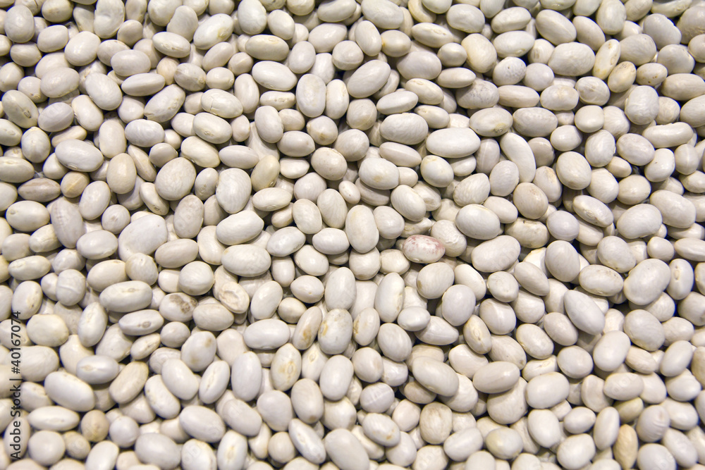 white beans texture white beans texture