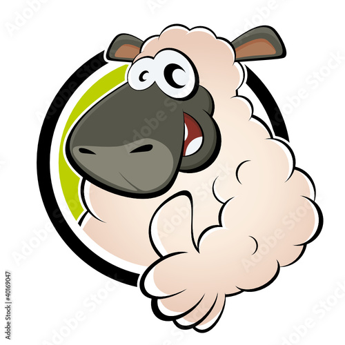 schaf