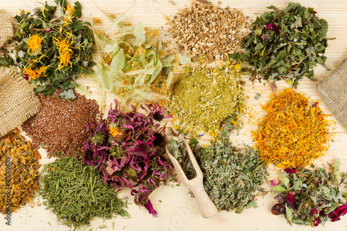 Fotografie healing herbs on wooden table