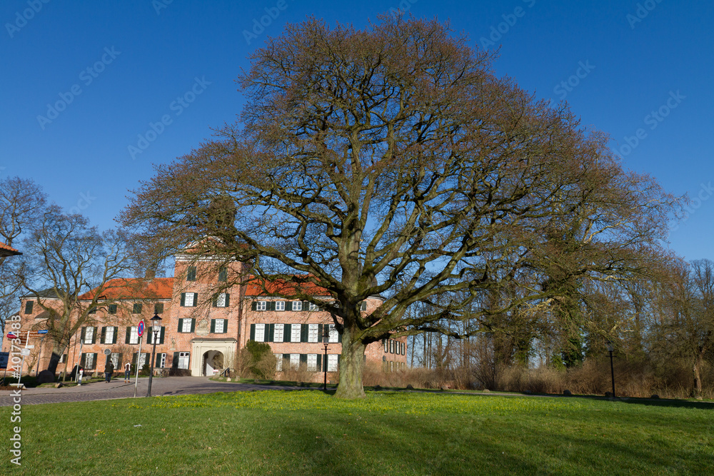 Tree in front of Castle Tree in front of Castle