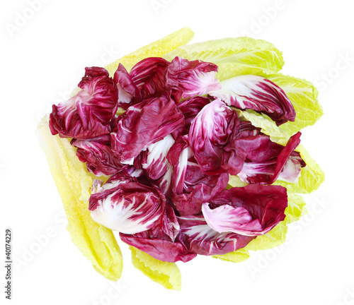 Radicchio and Romance Lettuce photo