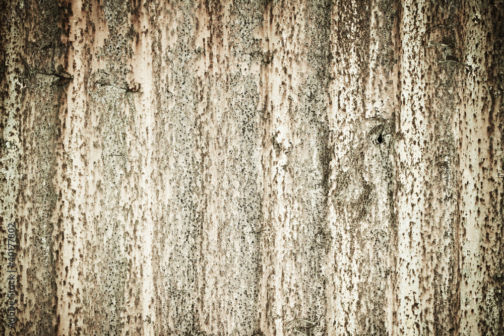 Obraz premium Background of stone wall texture