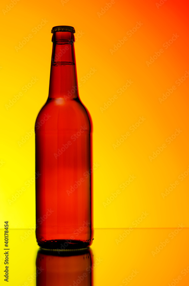 bottle of beer bottle of beer