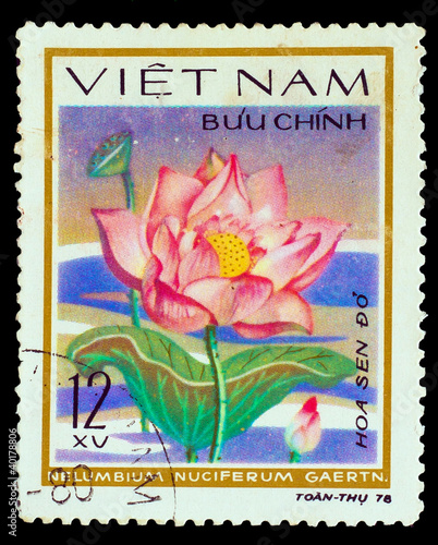VIETNAM - CIRCA 1978: A stamp printed in VIETNAM, shows Sacred l