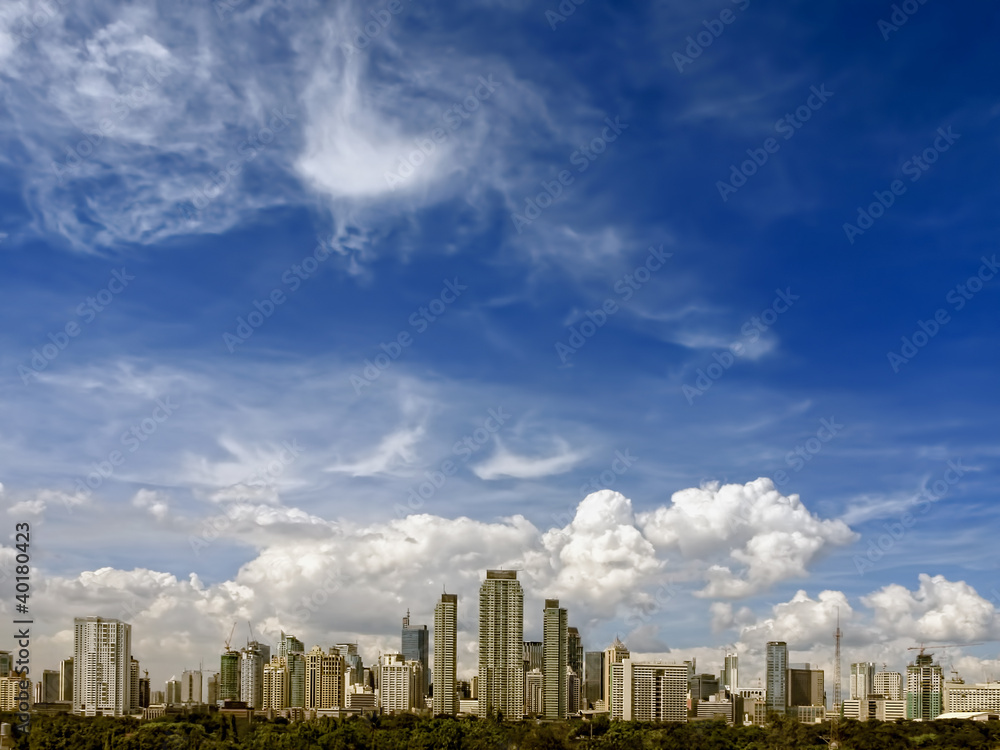 Fototapeta premium Makati Skyline