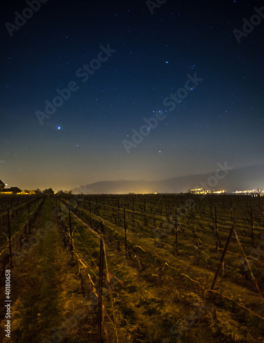 Stars Over Swiss Vineyard