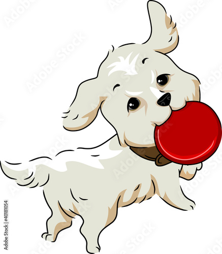 Frisbee