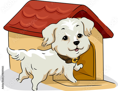 Dog House