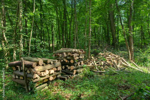 Fotografija Stère de bois de chauffage