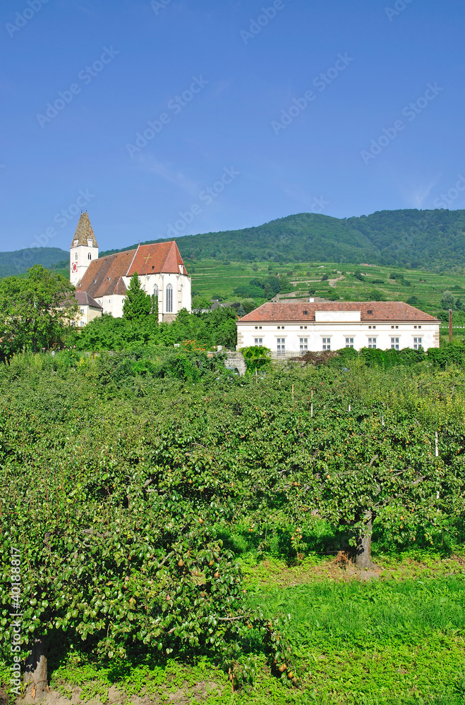 Weinort Spitz in der Wachau an der Donau