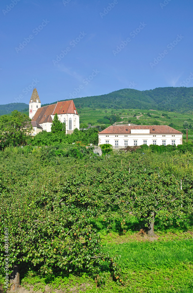 Weinort Spitz in der Wachau an der Donau Weinort Spitz in der Wachau an der Donau