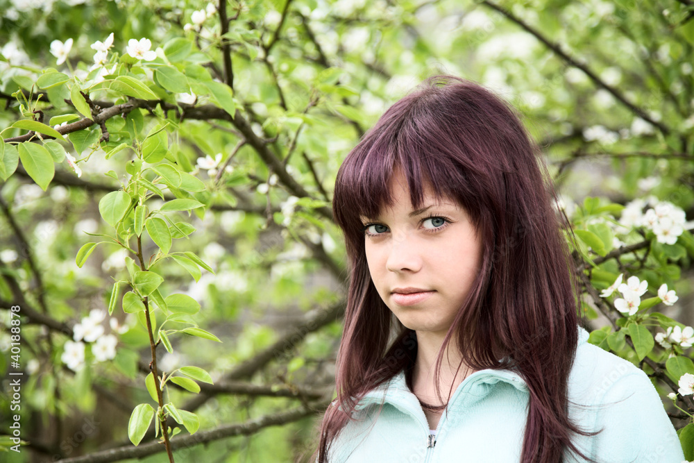 girl teenager against a blossoming pear in the spring girl teenager against a blossoming pear in the spring
