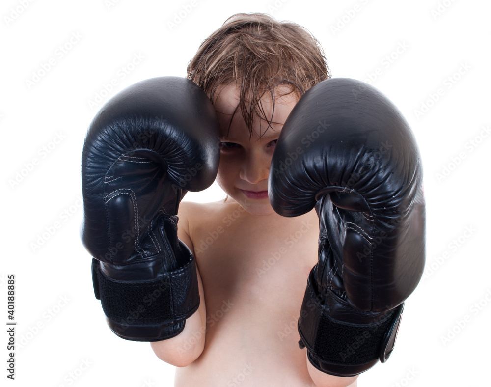 little boy boxer