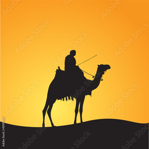 Man on the camel at Sahara desert