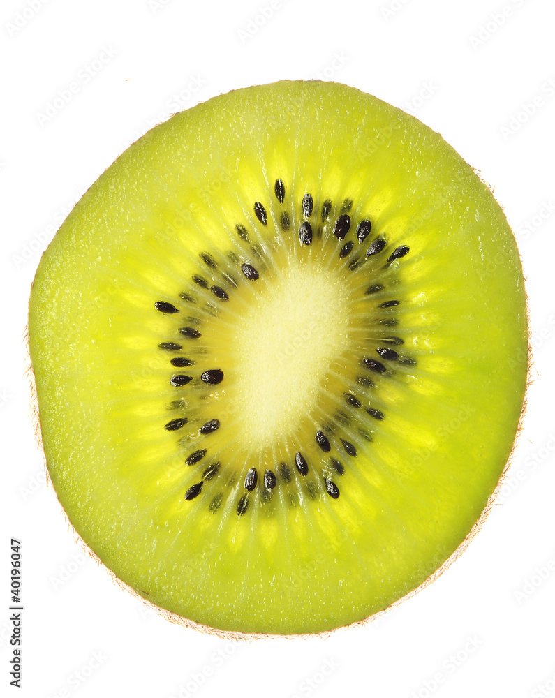 isolated fruit on white