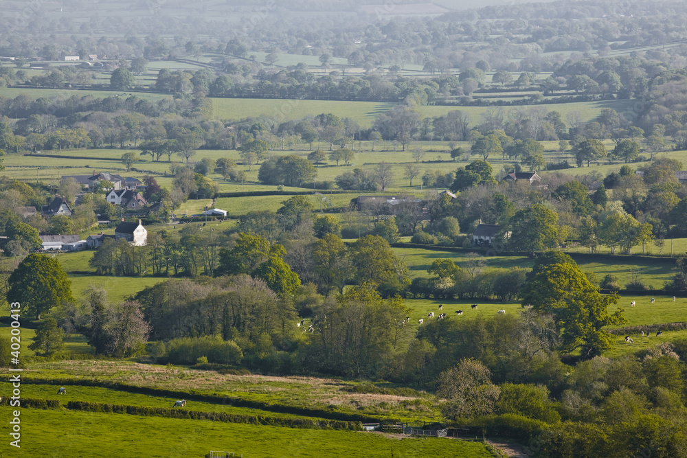 Dorset countryside