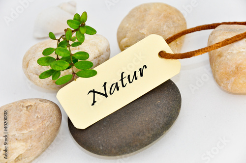 Natur photo