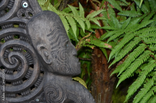 art maori nouvelle zelande