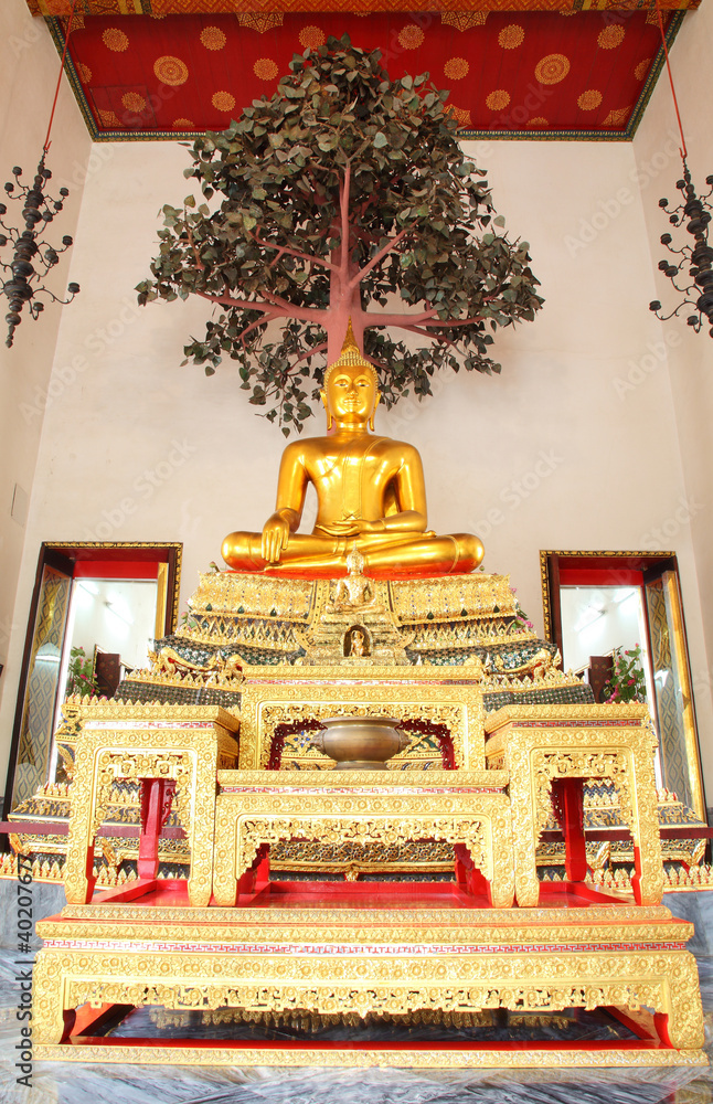 Golden big buddha