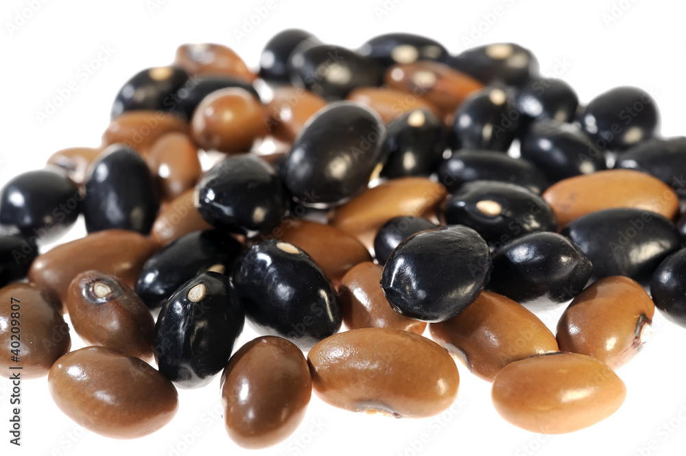 beans on white background beans on white background