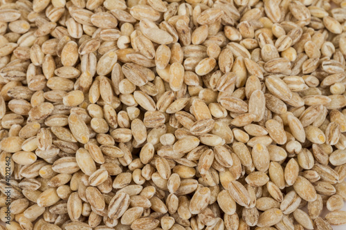 Pearl barley heap isolated on white