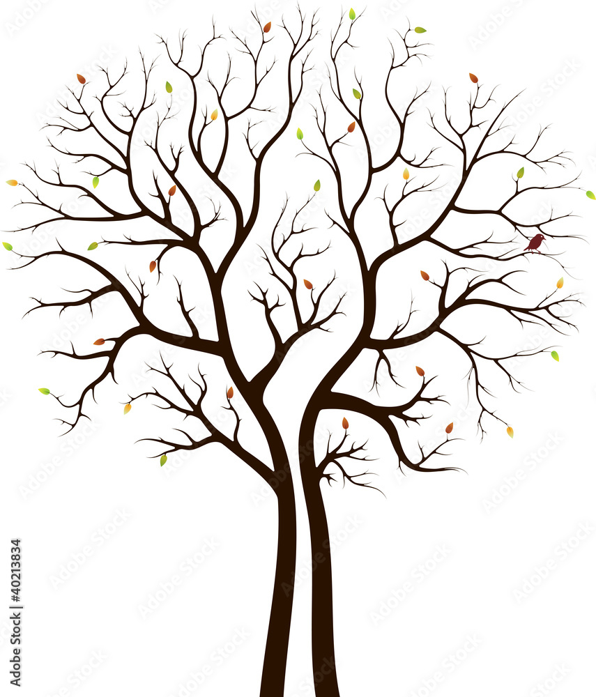 Obraz premium autumn tree