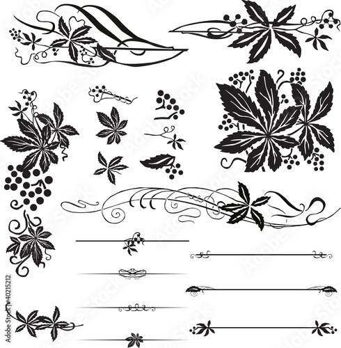 Decorating the page with the wild grapes in the modern style