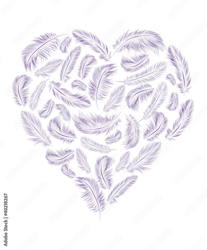 Obraz premium Pióra w kształcie serca