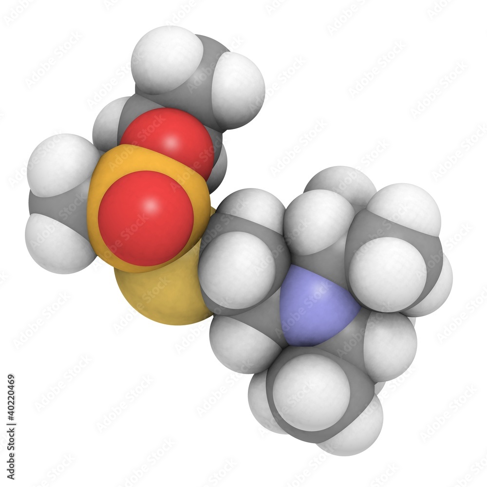 VX molecule (nerve agent)